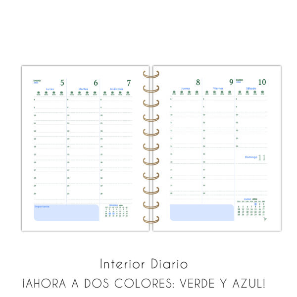 Agendas Línea Tapa Semi Rígida – Simplicity - Imagen 8