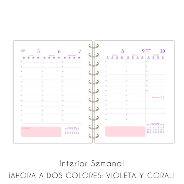 Agendas Línea Tapa Semi Rígida – Fantasía - Imagen 9